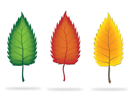 leavesのイラスト素材