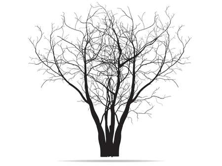 vector drawing of the tree - detailed vectorのイラスト素材