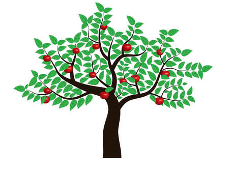 Green Apple tree full of red apples isolated over whiteのイラスト素材
