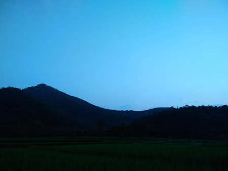 Green field and blue skyの写真素材