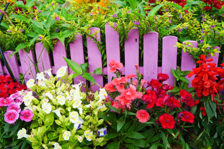 Beautiful garden in springの写真素材