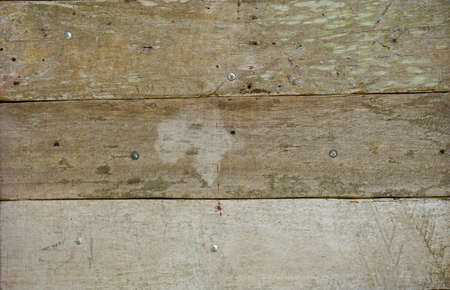 Wood plank texture for your background