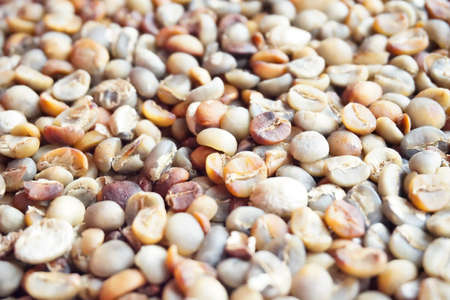 Big roasted coffee beans texture close upの写真素材