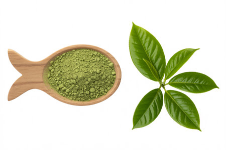 Overhead shot of Kratom powder in a wooden spoon with fresh green leaves, isolated on a white background.の素材
