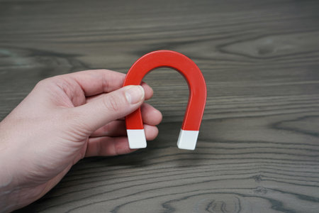 A close-up shot of a hand holding a red horseshoe magnet with white tips against a dark wooden surface.の素材