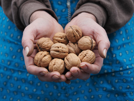 a person holding a handful of walnuts, showcasing healthy eating and natural food ingredients close upの素材