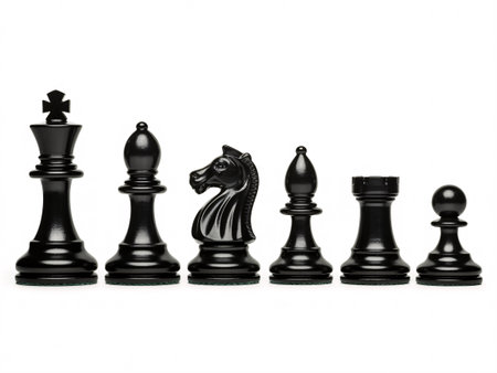 a set of black chess pieces including the king, bishop, knight, rook, and pawn on a white backgroundの素材