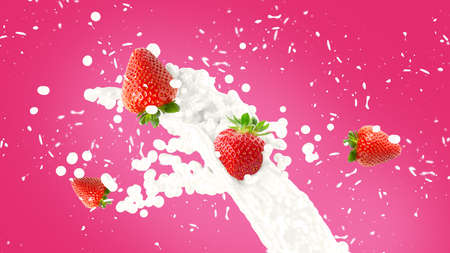 Strawberry in milk splash over pink backgroundの写真素材