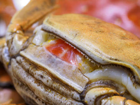 Macro of hairy crabs, chinese cuisine, autumn winter delicacy.の写真素材