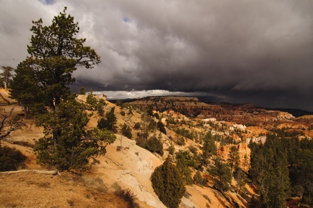 A beatiful Bryce Canyon in Utah, USAの写真素材