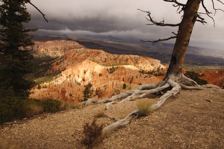 A beautiful Bryce Canyon in Utah, USAの写真素材
