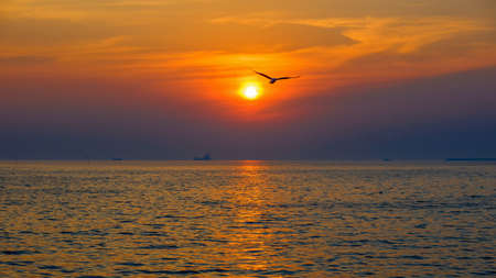 Sunrise and sunset with seagulls flying around Thailandの写真素材