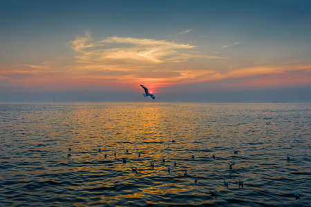 Sunrise and sunset with seagulls flying around Thailandの写真素材