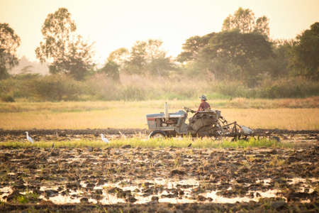 Farmer using tiller tractor in field at sunset in Thailandの写真素材