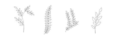 Collection of minimalistic simple floral elementsのイラスト素材