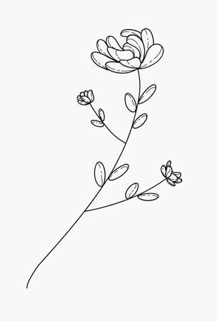 Minimalistic flower graphic sketch drawing floral botanic elements vector illustrationのイラスト素材