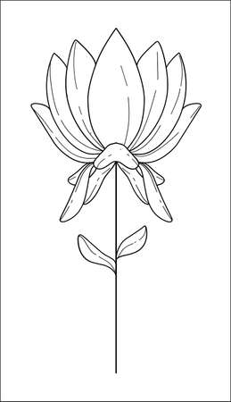 Minimalistic flower graphic sketch drawing floral botanic elements vector illustrationのイラスト素材