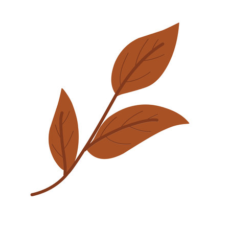 Autumn Leaf Vector Illustration With Cute Flat Designのイラスト素材