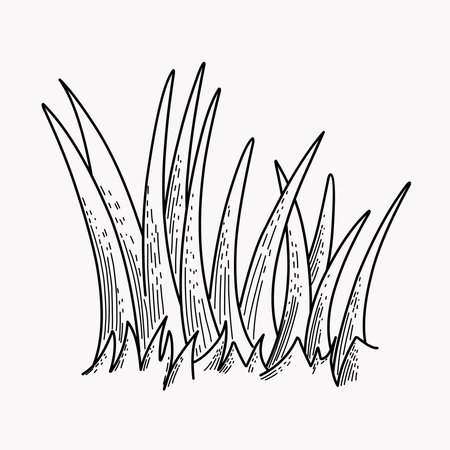Grass vector silhouette drawing sketchのイラスト素材