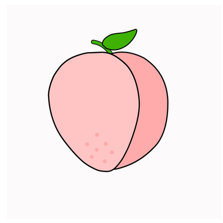 Flat Design of fruit vegetableのイラスト素材