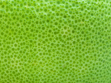 green orange texture, background