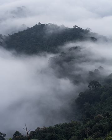 Fog on the mountain