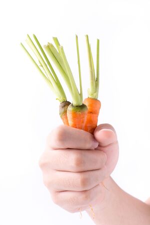 hand holding a fresh  carrot isolated on white backgroundの写真素材
