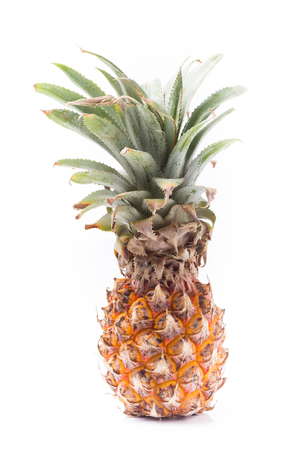 pineapple on isolated with space for your createの写真素材