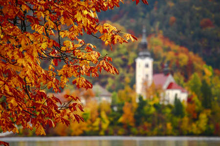 autumn and christ chruchの写真素材