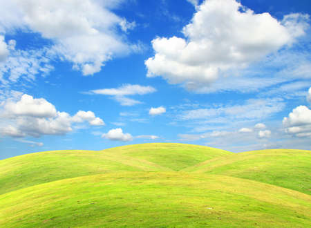 Grass field with clear blue sky and white cloudの写真素材