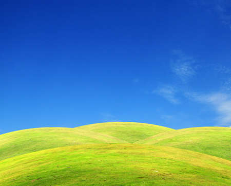Grass field with clear blue skyの写真素材