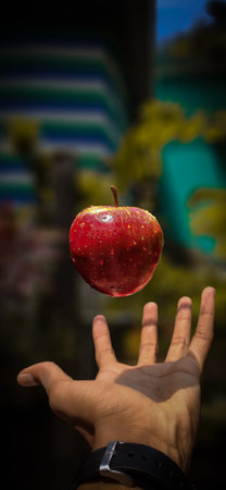 A red apple on the palm of a man's hand. Selective focus.の写真素材