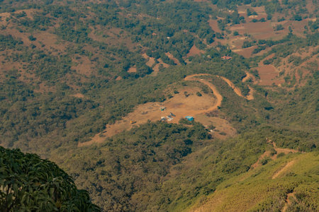 rajgad entrance gate decorated with flowers and monkey playing on it as doing fun