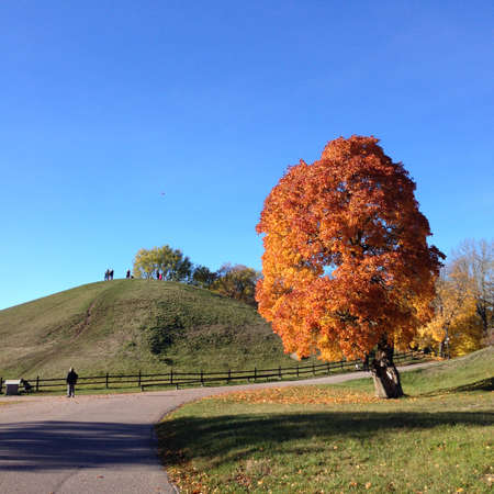 The Royal moundsの写真素材