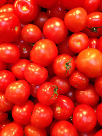 Tomatoの写真素材