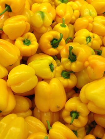 Paprikaの写真素材