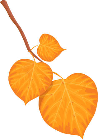colorful autumn falling maple leaves vector illustrationのイラスト素材