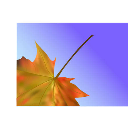 Autumn Leafのイラスト素材