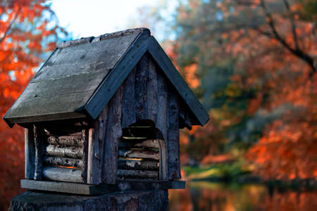 Bird house in autumn in the parkの写真素材