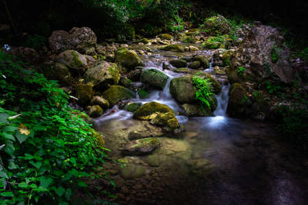 Mountain river flowing through the green forest. A stream in a verdant landscape, a landscape in the jungle.の写真素材