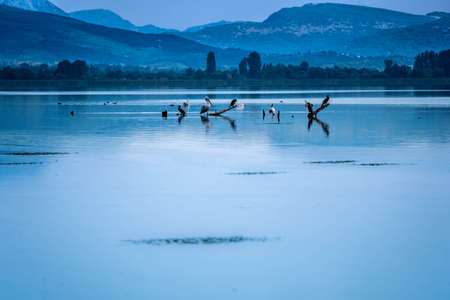 Photographic snapshot, scene from the lake of the city of Ioannina with the name Pamvotida. Various...