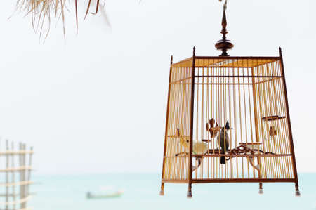 Bird in birdcage on seascapeの写真素材