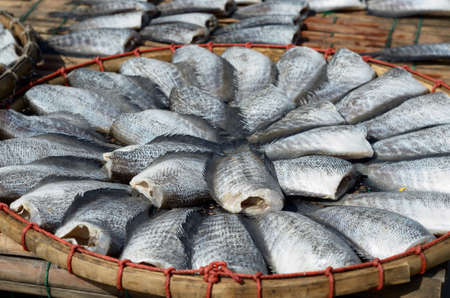 Dried Fish on threshing basketの写真素材