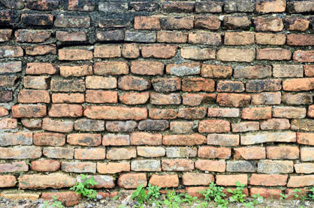 Brick wall texture background