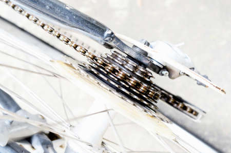 Cogwheel on a bicycle /Gear bicycle