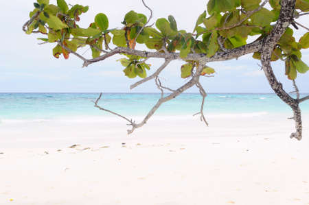 Seascape with clouds in blue skyの写真素材
