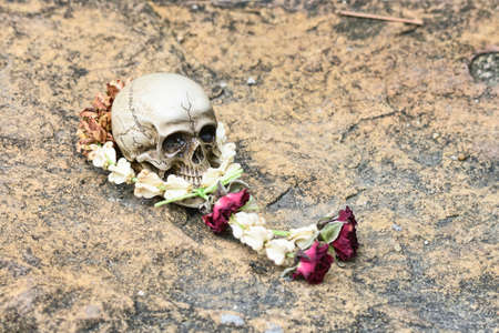 Skull human model with garlandの写真素材