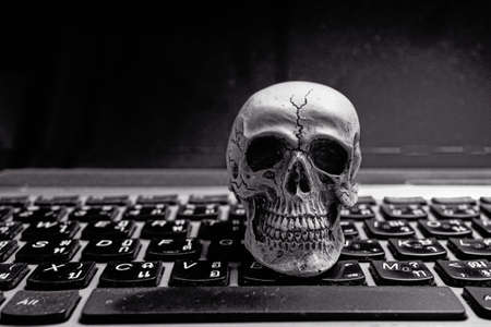 Skull human model on keyboardの写真素材