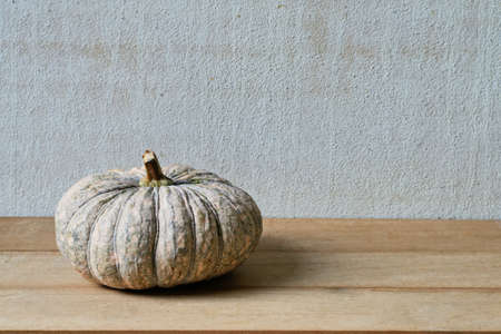 A pumpkin on a wooden with old cement backgroundの写真素材