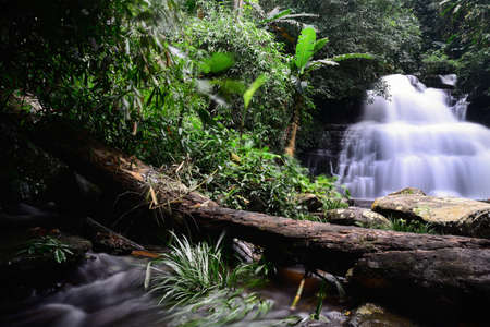 Beautiful waterfall in nature